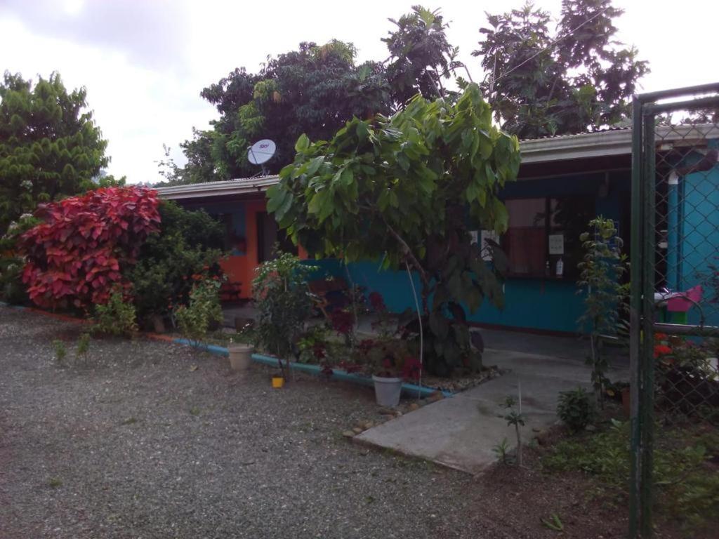 Cabinas Surf Side Cahuita Kültér fotó